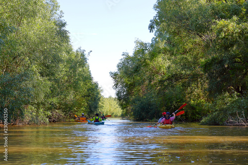 Group of friends travel by kayaks. Kayaking in Danube river and lake on biosphere reserve in spring