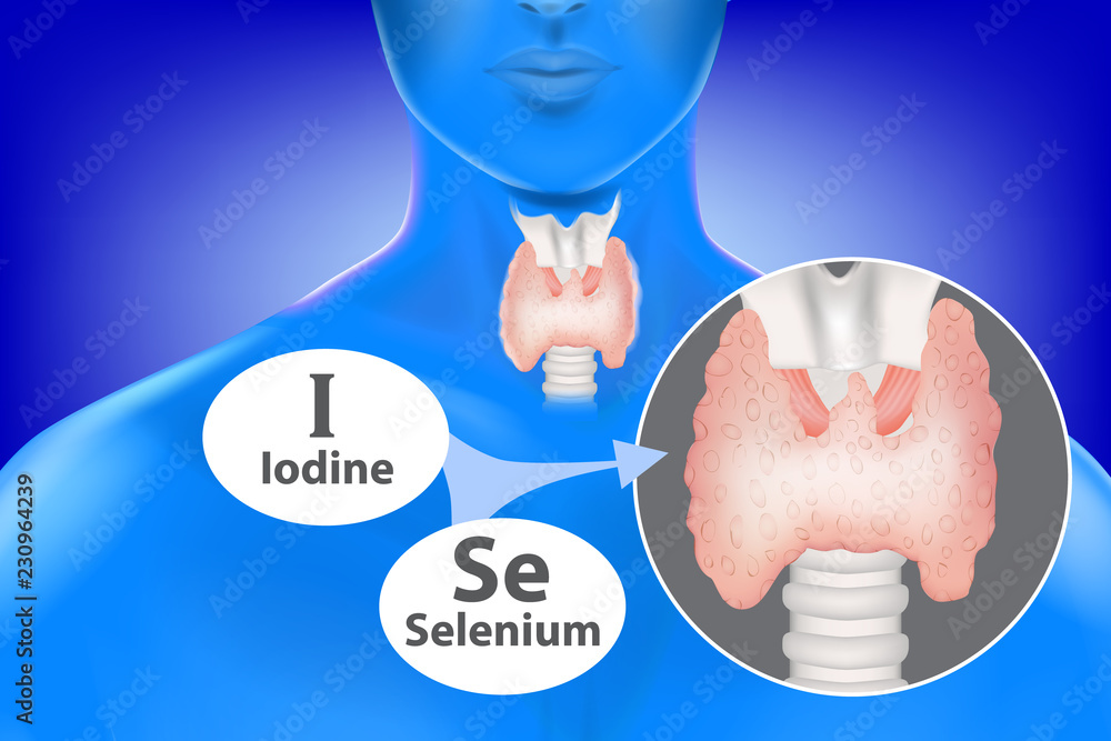 selenium and iodine necessary normal functioning of the thyroid gland
