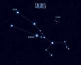 Taurus (The Bull) constellation, vector illustration with the names of basic stars against the starry sky