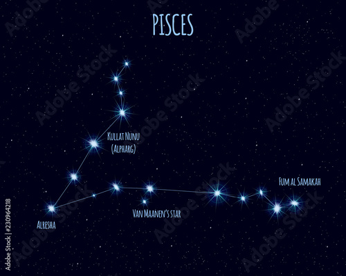 Pisces (Fishes) constellation, vector illustration with the names of basic stars against the starry sky