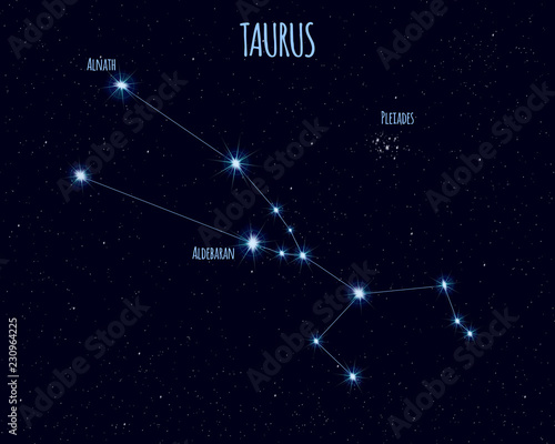 Taurus (The Bull) constellation, vector illustration with the names of basic stars against the starry sky