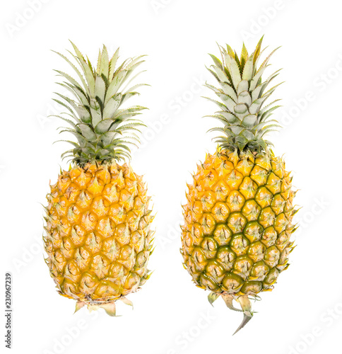 pineapple is tropical fruit isolated on white background