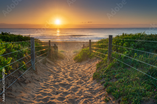 Sunrise at Palm beach, Australia. Sandy path to the iconic Northern Beach of Sydney.