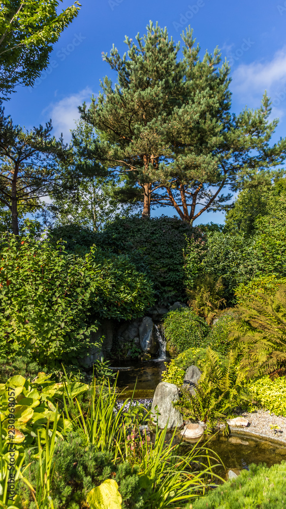 Smartphone HD wallpaper of beautiful view at the flower park in Rain - Bavaria - Germany Smartphone HD wallpaper of beautiful view at the flower park in Rain - Bavaria - Germany