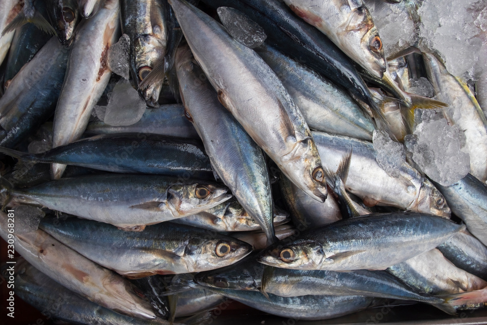 Top view of raw fish in fresh market. Freshness raw fish in seafood market.