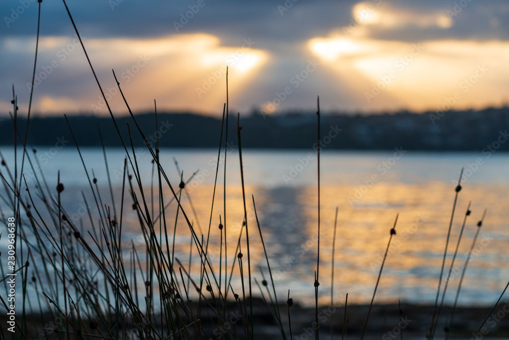 Sunrays at sunrise on Sydney Harbour, Australia Sunrays at sunrise on Sydney Harbour, Australia