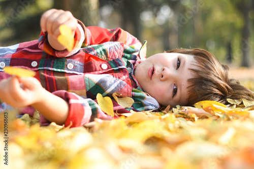 Child lying on fallen leaves in autumn park. Boy play with leaves on the ground in park