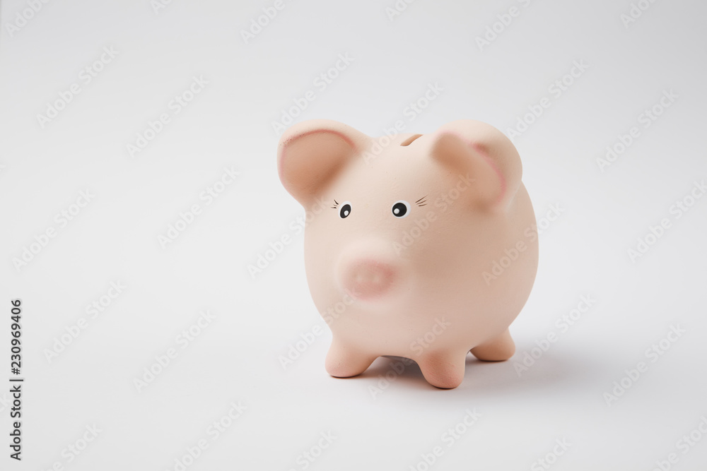 Close up photo of pink rose piggy money bank isolated on white wall background. Money accumulation, investment, banking or business services, wealth concept. Copy space advertising mock up.