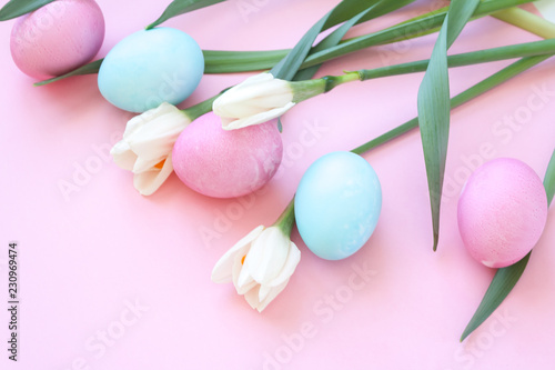 Easter eggs and spring flowers narcissi on pink background