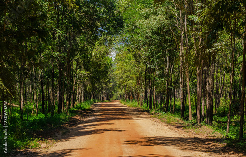 Roads in Huai Kha Khaeng Wildlife Sanctuary, Thailand