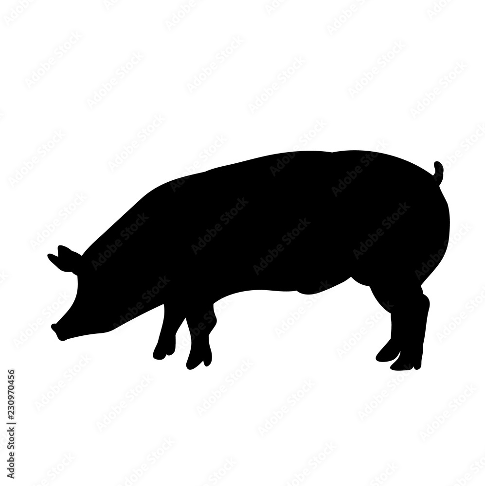 silhouette of the pig, isolated silhouette of the pig, isolated