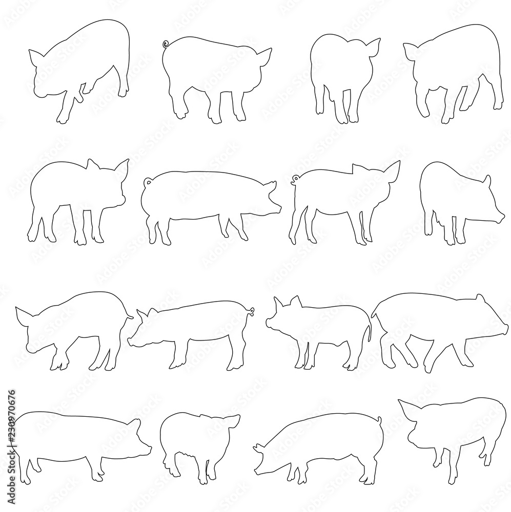 vector, isolated contour pig set vector, isolated contour pig set