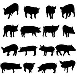 a collection of silhouettes of a pig
