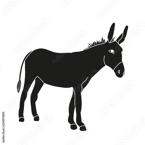 isolated silhouette of a donkey