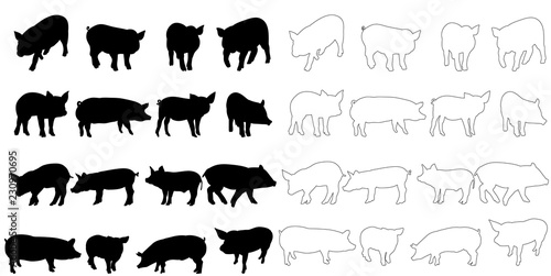 vector, silhouette of a pig set