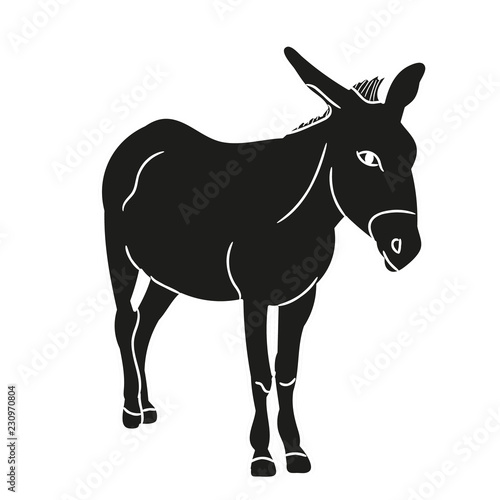  isolated silhouette of a donkey standing