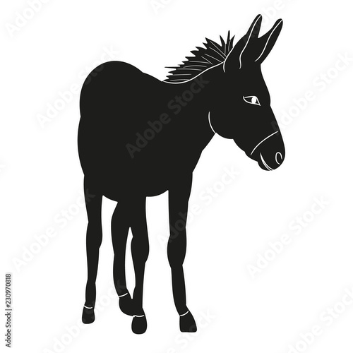  silhouette of a donkey standing