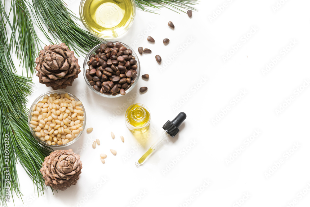 Cedar oil, branches and cedar cone on white. Copy space. Beauty and healthy concept. Cedar oil, branches and cedar cone on white. Copy space. Beauty and healthy concept.
