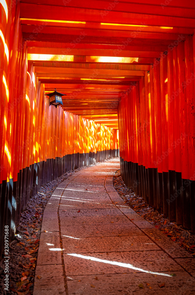 Naklejka premium Kyoto