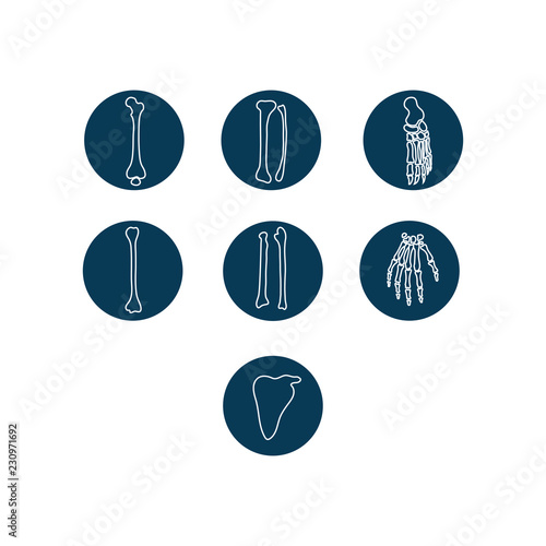 Human bones icon set