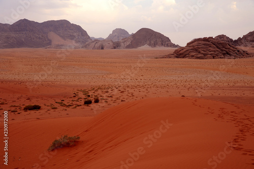 panoramic view of wadi rum desert lookin like mars planet with rocks and red sand