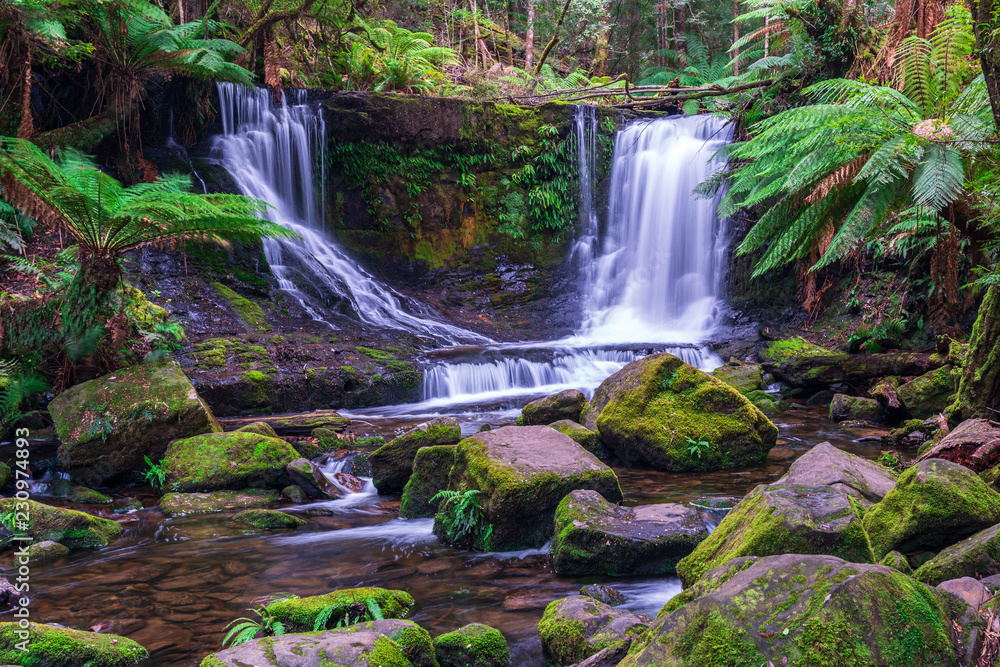 Fototapeta premium Horseshoe Falls, Tasmania, Australia. Flowing water through the green rocky falls in Mount Field National Park.