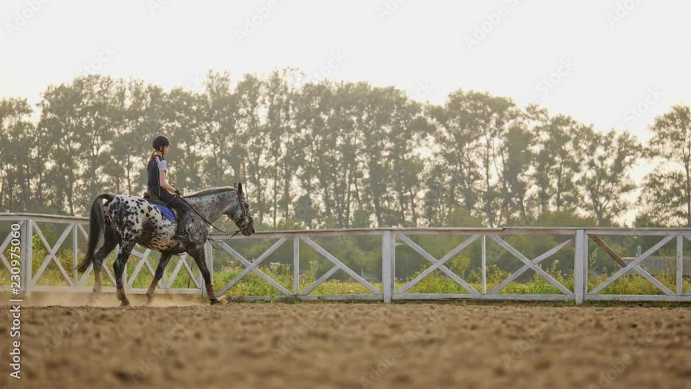 Young girl jockey on a horse outdoors, slow motion Young girl jockey on a horse outdoors, slow motion