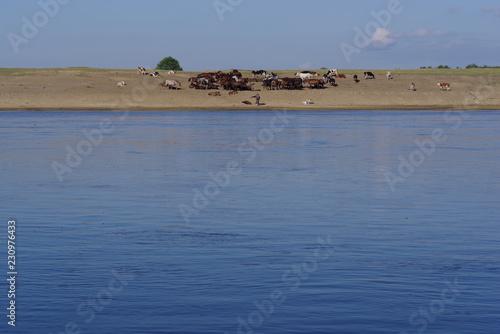 a river 