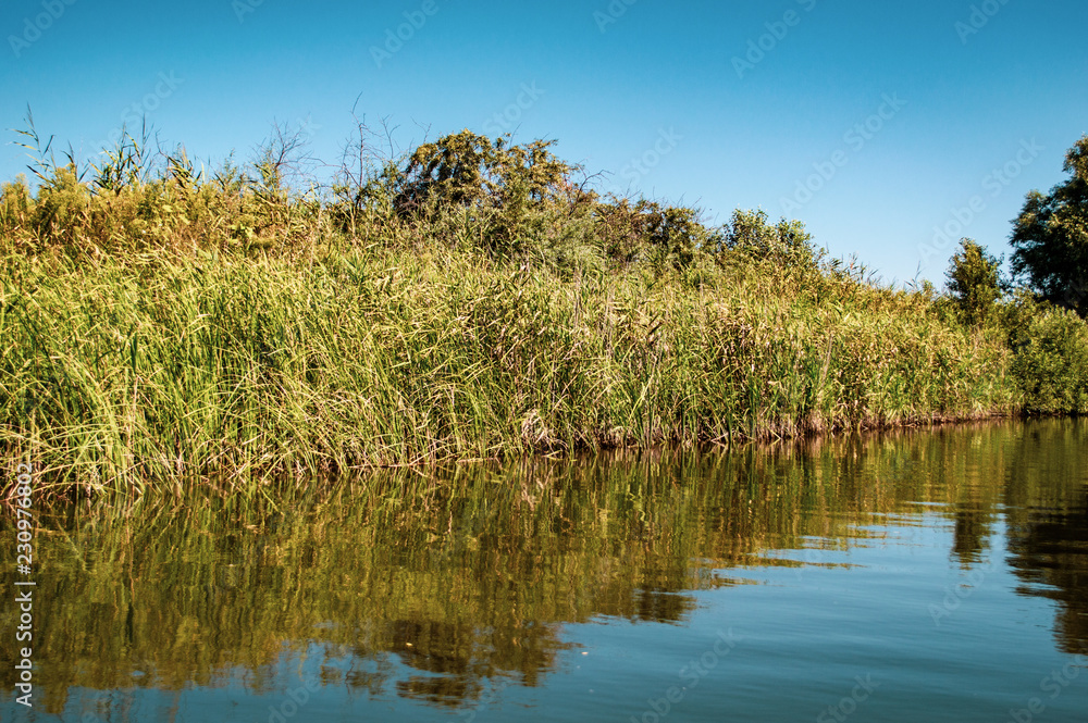 Fototapeta premium Delta Danube trip - August colors