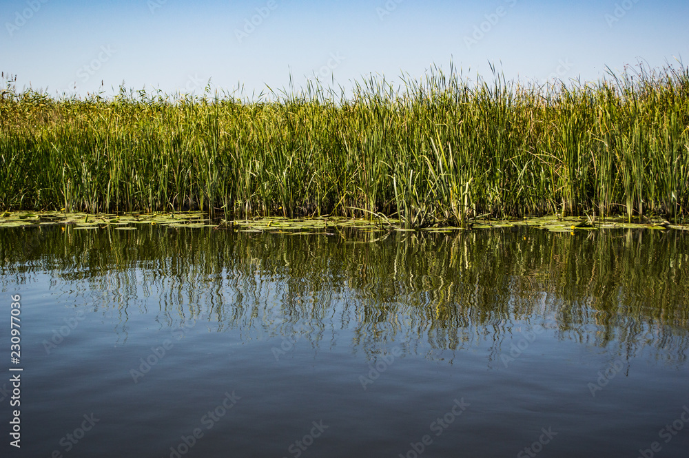 Obraz premium Delta Danube trip - August colors