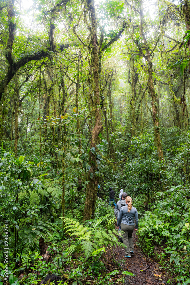 Tourist in Monteverde Cloud Forest Reserve, Puntarenas Tourist in Monteverde Cloud Forest Reserve, Puntarenas