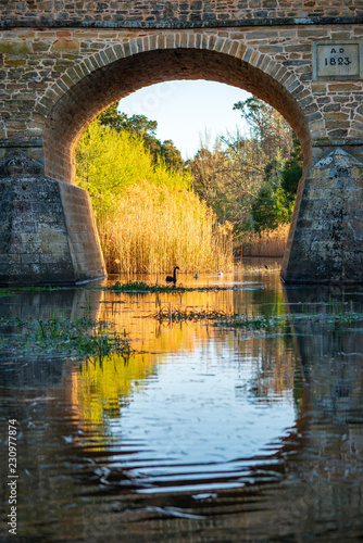 Wallpaper Mural Sunrise at Richmond Bridge, Tasmania. Oldest bridge in Australia, made of sandstone, crosses the Coal River. Torontodigital.ca