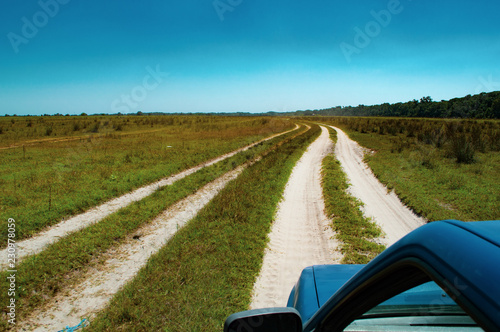 Letea forest - country road