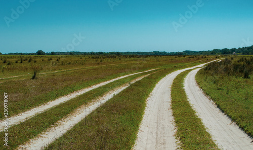 Letea forest - country road