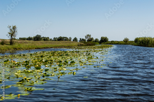 Delta Danube - August colors