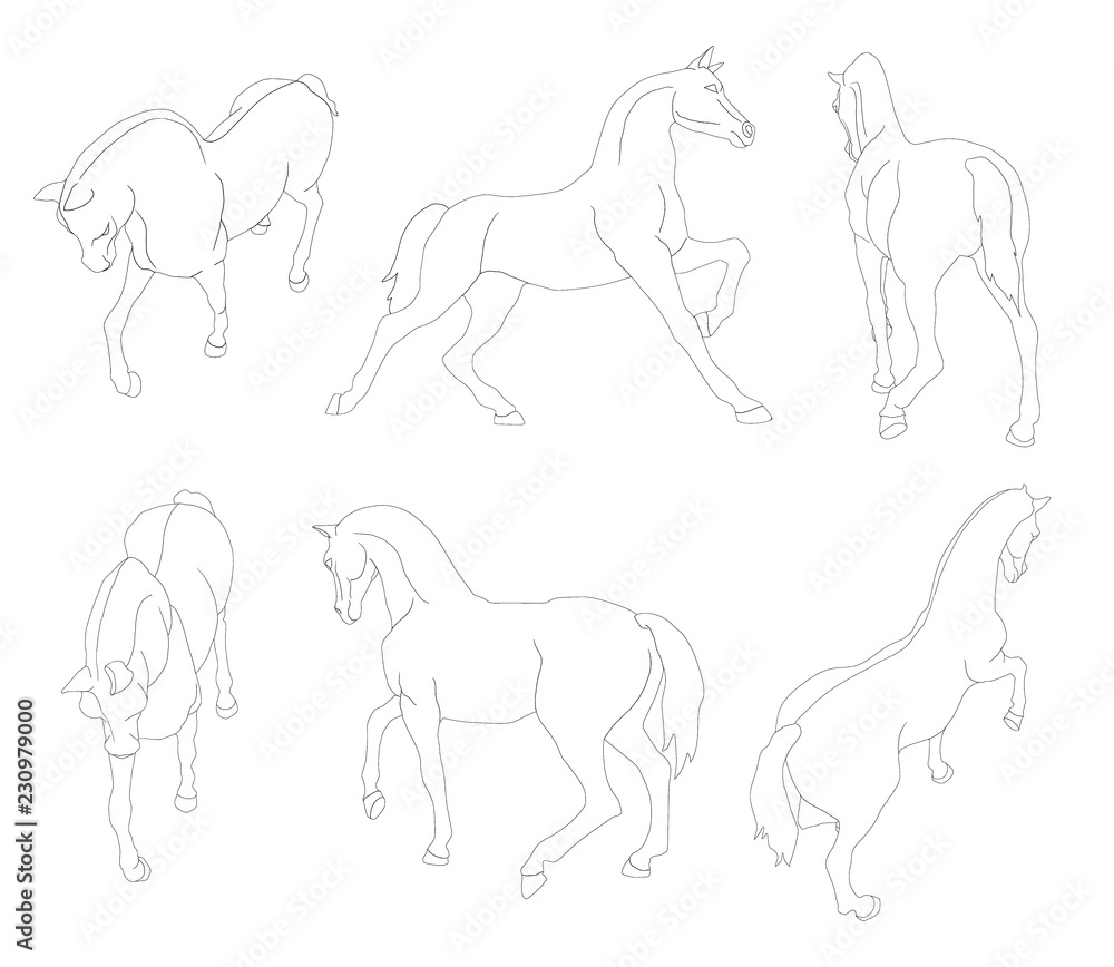 Cheval Animal Illustration Mouvement Trace Dessin Silhouette Poney Vecteur Chien Dessin Anime Mammifere Stock Illustration Adobe Stock