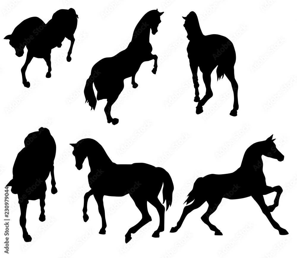 cheval, animal, silhouette, illustration, noir, ombre chinoise, Stock イラスト  | Adobe Stock