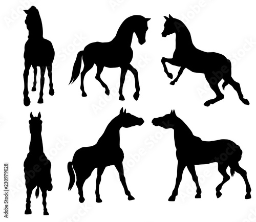 cheval  animal  silhouette  illustration  noir  ombre chinoise  logo   vecteur  mammif  re  blanc  sauvage  poney    talon  