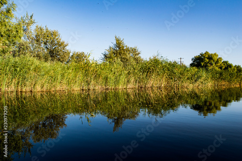 Delta Danube - August colors