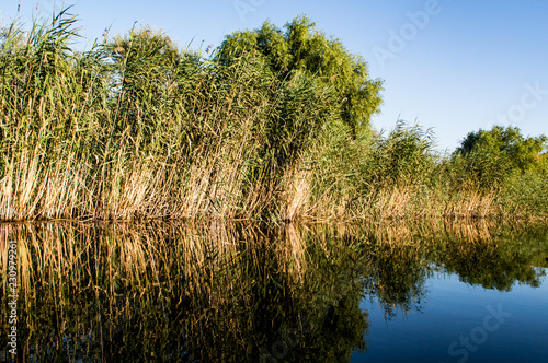 Delta Danube