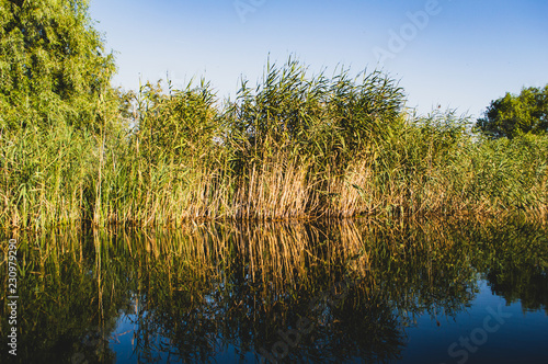Delta Danube