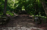 stone stairs among the green forest