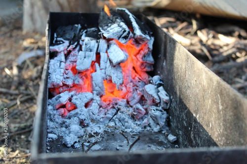 charcoal, fire, brazier, barbecue, picnic