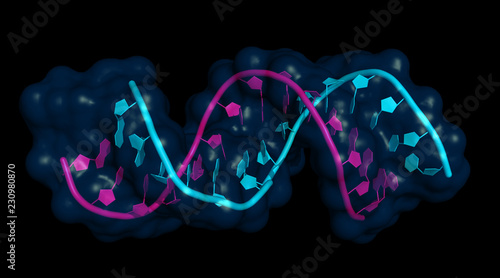 Konstfotografi micro RNA (let7; pink) bound to mRNA (lin-41; cyan)