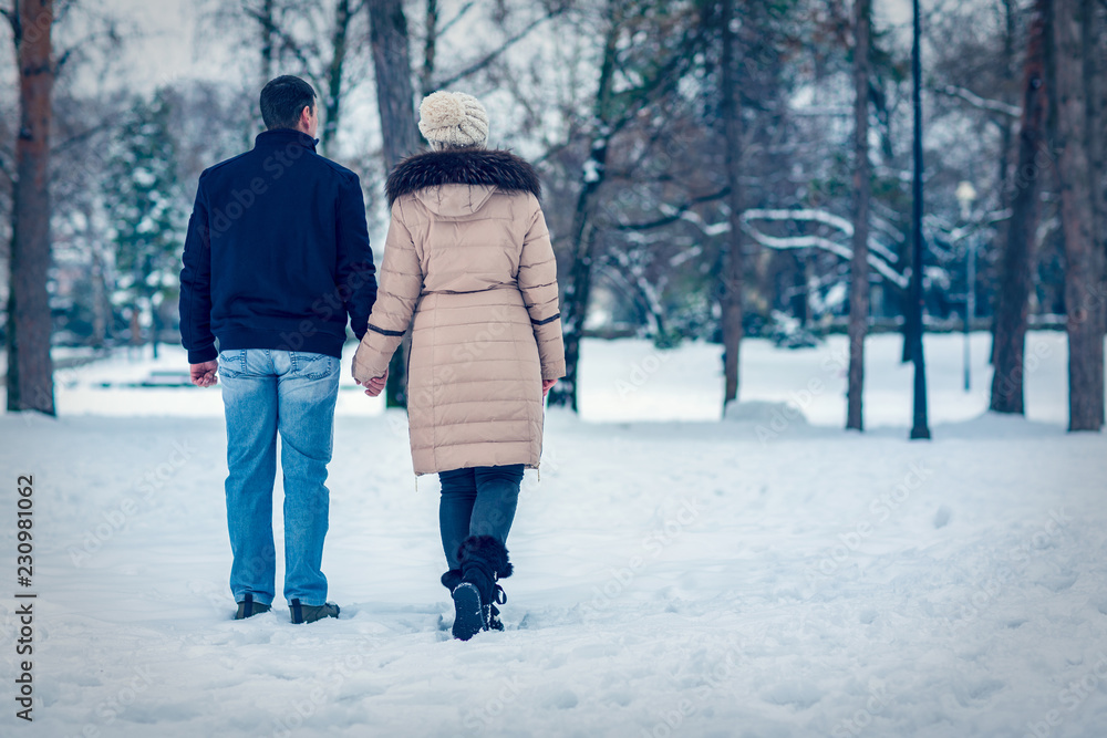 winter holiday - young couple having a walk in winter park. winter holiday - young couple having a walk in winter park.