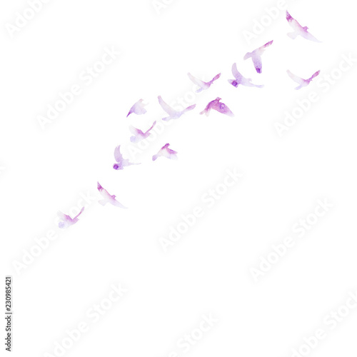 violet watercolor silhouette of flocks of birds