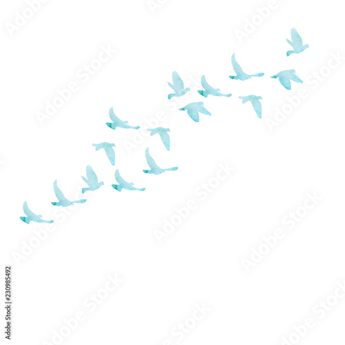 Fotografia vector, isolated, blue watercolor silhouette of flocks of birds