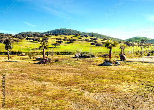 Extremadura fields on a sunny day