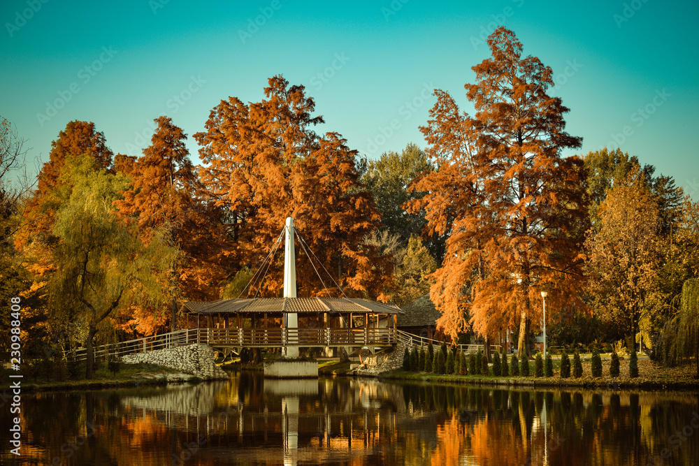 Fototapeta premium A beautiful autumn afternoon in the park.