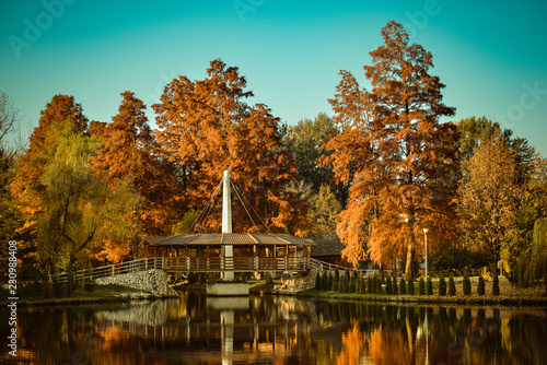 Fototapeta Naklejka Na Ścianę i Meble -  A beautiful autumn afternoon in the park.
